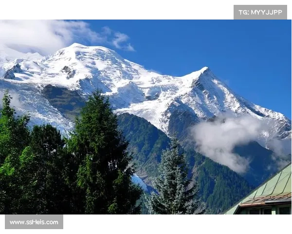 UTMB赛事规模创新高 观众人数突破历史纪录成全球瞩目焦点 UTMB赛事规模创新高 观众人数突破历史纪录成全球瞩目焦点